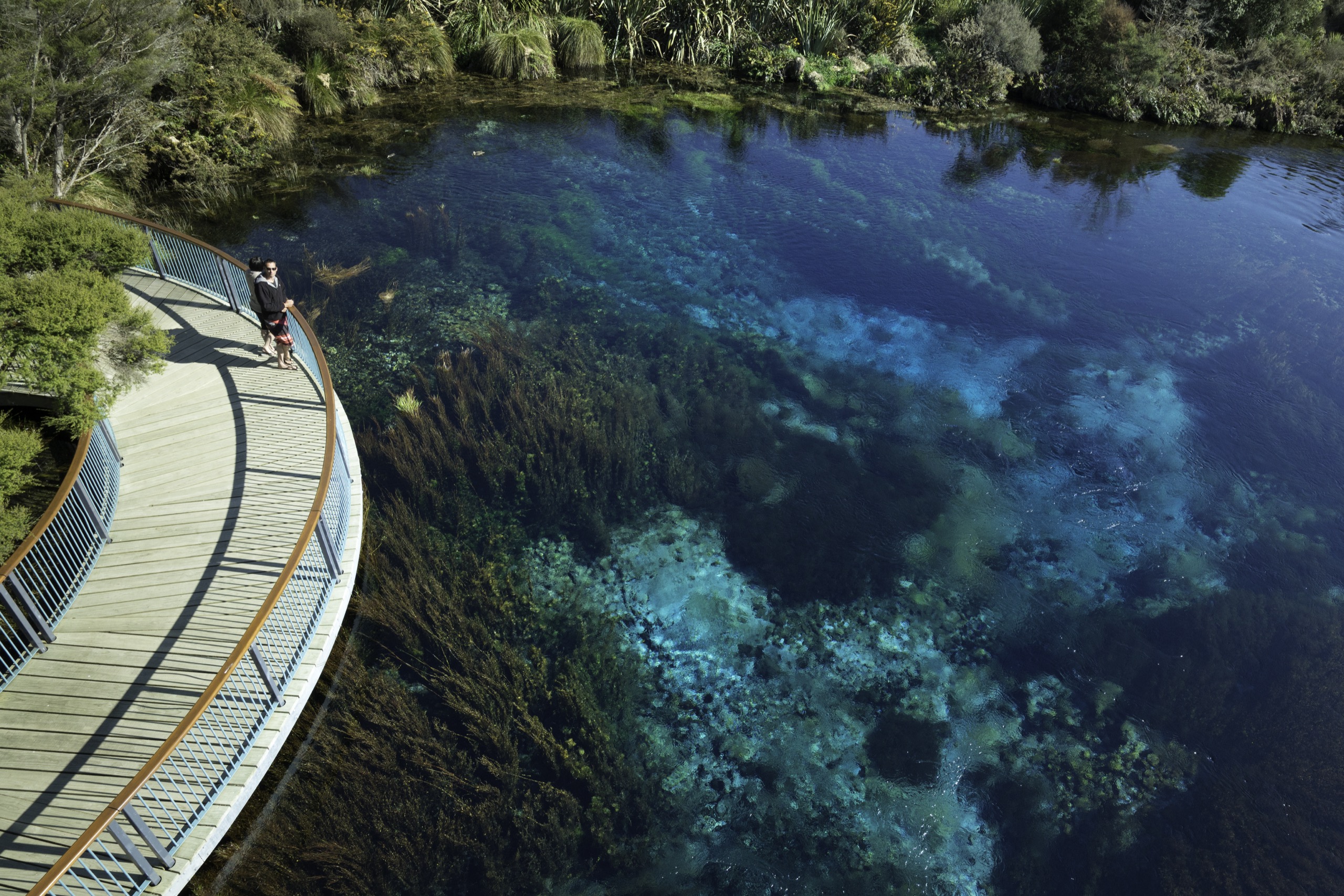 New Zealand Landscape